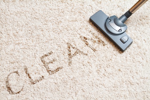 Will Carpet Cleaning Kill Fleas? 
