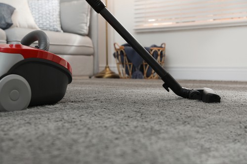 Will Carpet Cleaning Prevent Pests?