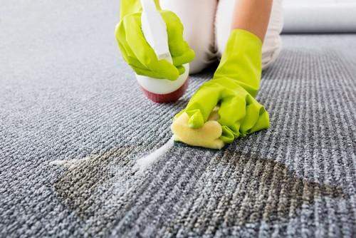 Carpet Cleaning the Eco-friendly Way: Say Goodbye to Harsh Chemicals!