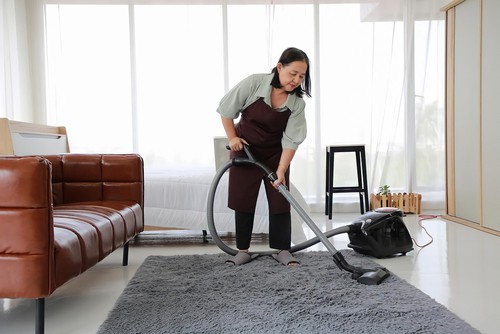 Vacuum Carpet To Prevent Dust Mites