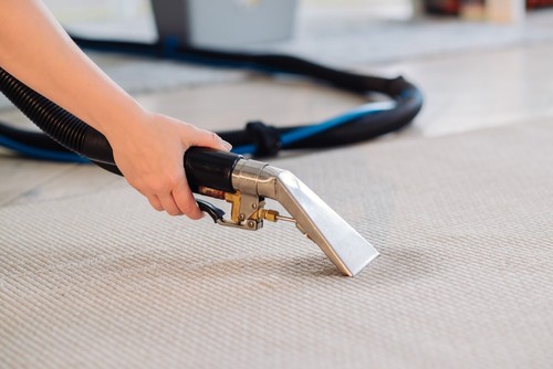 Why Choose Us for Your Professional Carpet Cleaning Needs