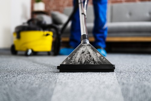 Why Hire a Professional Carpet Cleaner