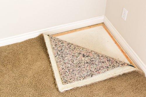 DIY Solutions for Removing Mold and Mildew from Carpets