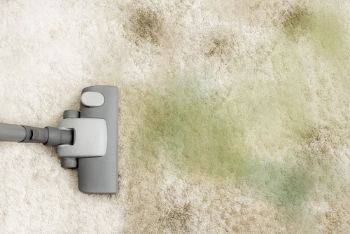 Mold and Mildew Growth