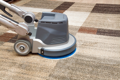 Professional Carpet Cleaning